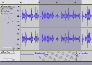 Textspur und Tonspur verknüpft mit Sync-Lock Tracks in Audacity