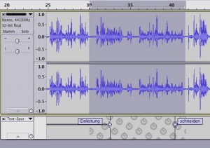 Textspur und Tonspur verknüpft mit Sync-Lock Tracks in Audacity