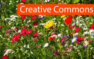 Creative Commons Lizenzen erstellen für Podcasts und andere Werke