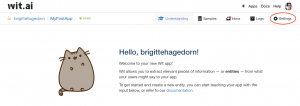 Ansicht Webinterface wit.ai